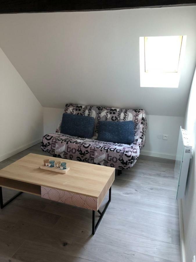 Апартаменты Duplex Hyper Centre Кольмар Экстерьер фото